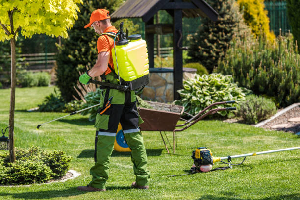 Best Lawn Pest Control  in Chinchilla, PA